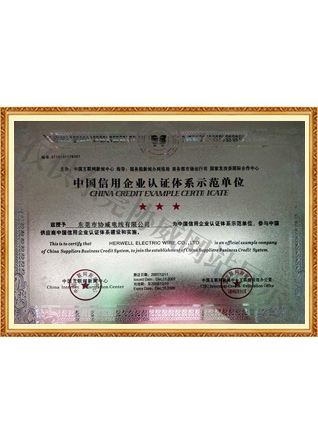 中國信用企業(yè)認證體系示范單位